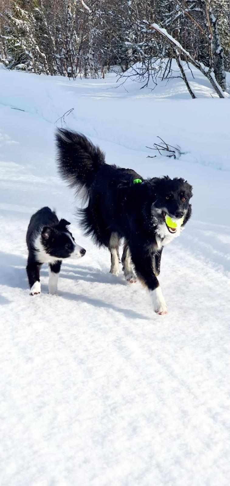 Willa Granheim Namsskogan Pokój zdjęcie